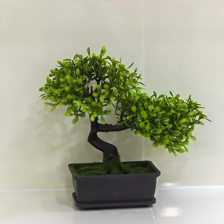 Cherry-Old Town Apartman