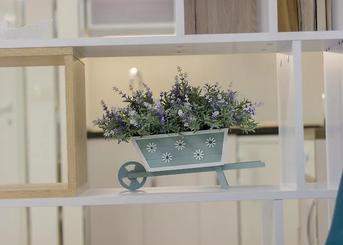 Daire Cherry-old Town *