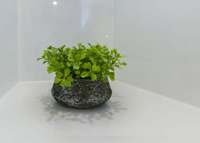 Daire Cherry-old Town