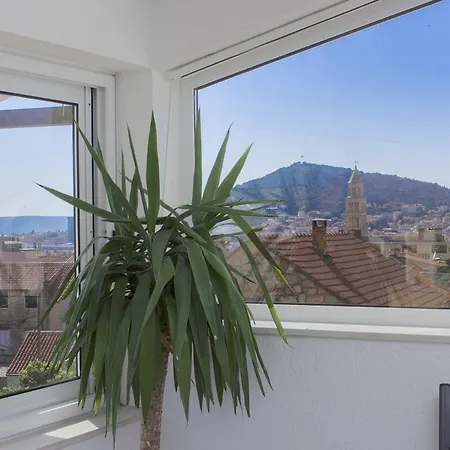 Cherry-old Town Spalato