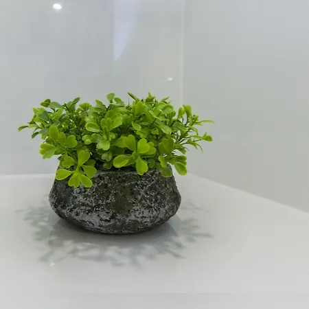 Appartamento Cherry-old Town