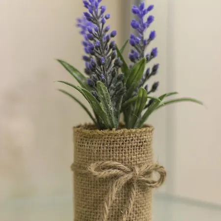 Cherry-old Town Appartement Split