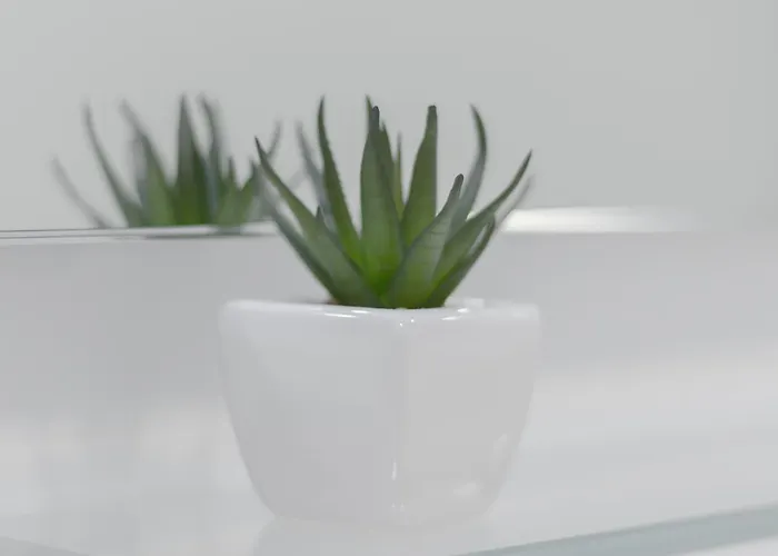 Daire Cherry-old Town Split