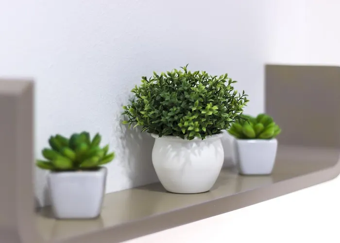 Daire Cherry-old Town